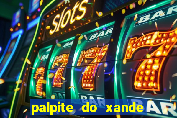 palpite do xande de hoje